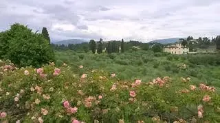 Jardin Boboli, Florencia, Italia.