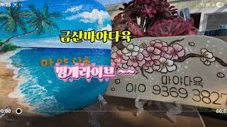 ☘️금산 마야다육☘️ .❤️