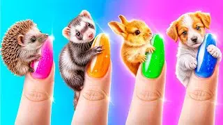Nous Avons Sauvé un Animal de Prison! Les Animaux de Compagnie Sans-Abri se Refont une Beauté!