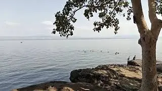 Beautiful Nature Lake Side Hawassa Ethiopia 2021