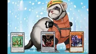 YGOPRO Rescue Ferret deck and combos (Synchro version)broken boards there xD