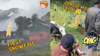 Hometown First snowfall 🥶// Jungle mai ho gayi ladai 😱#explore #phadilifestyle @lasyvlogs #lifestyle