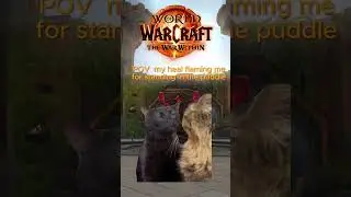 PUG&acute;s in TWW #worldofwarcraft #memes #arcanemage  #thewarwithin #pug #wow
