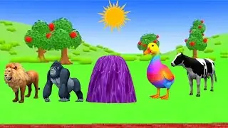 Long Slide Game With Elephant Gorilla Duck Hippopotamus Tiger 3d Animal Game Funny 3d Animals 