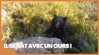 Un randonneur se fait attaquer par un ours !