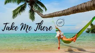 2021 Beach under  PALMS - relaxing, calming and end up sleeping with these gentle soft natures music