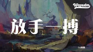 DJ何鹏 - 放手一搏 「走过风风雨雨趟过大江大河」【動態歌詞/pīn yīn gē c&iacute;】 #DJ何鹏 #放手一搏 #動態歌詞 #LyricsVideo