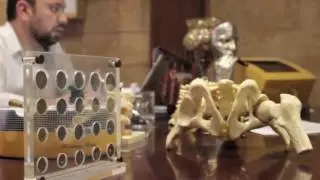 French Documentary about Dr Adel Rayess