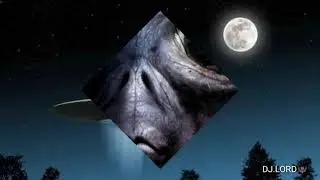 S Y Z Y G Y X - Abduction Phase
