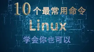 Linux最常用命令讲解（Linux系统入门/基础教学）
