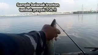 Tambak kuno kena proyek tol masih plung terr !! mancing Semarang