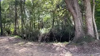 Schuster Park panorama