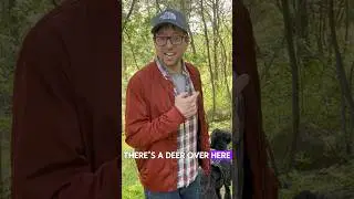 SAVING NATURE #savingnature #crocodilehunter #steveirwin #glassercomedy