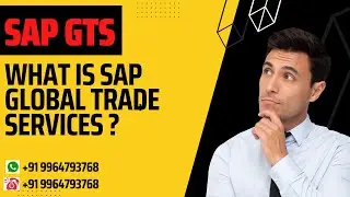 SAP GTS (Global Trade Services): полный обзор для начинающих | Онлайн-обучение SAP GTS