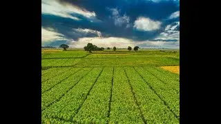 FARMFLOW-DOWNCHURCH