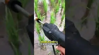 Jet cleaner serbaguna #jetcleaner #cucimotor #pestisida #petaniindonesia🇮🇩🇮🇩🇮🇩🌿🌿