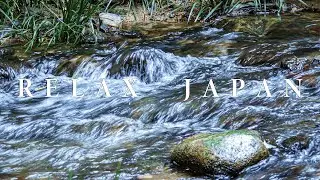 【4K】Relax Japan-Relaxing Water Stream Sounds/Sleep, Meditate, Study