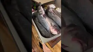 салат из копченой рыбы, часть первая