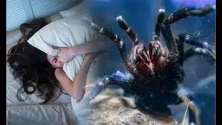 The Science of Dream