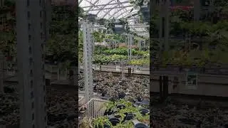 Inside of Vandermeer Nursery Garden Centre