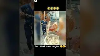 wait for end😂☹️#funny#trending  #reels #viral #travel #funny 🤣🤣#end #lol