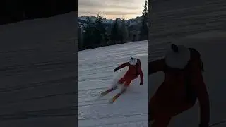 ⛷️ Skiing powder stop