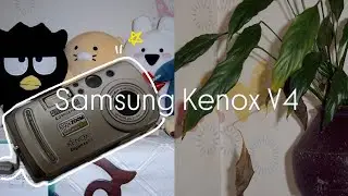 [빈티지 디카] 저의 카메라를 소개합니다 ~ ! 📸 Samsung Kenox V4 | 가성비 카메라 | 카메라 설명 | 결과물