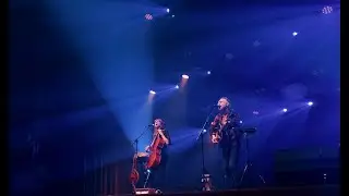 Yellofox duo