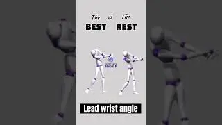 Ams vs. Pros Unleashed - 3D Online Lessons with EJS Golf Academy