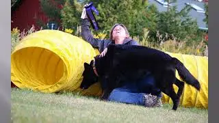 Bat Crap Crazy Shepherds - The Blooper Reel