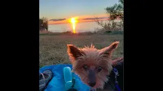Stelbot Adventures visits Four Mile Creek Campground