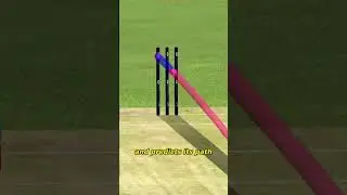 How Cricket changed every sports!!! 😲 #shorts
