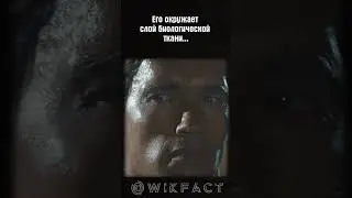 🦾Почему в Терминаторе гости из будущего приходят без одежды? #терминатор #будущее #кино #фильм