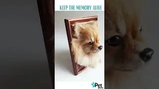 Pomeranian Felt Dog Portrait from Photos #pomeranian #dogs #doglover #dogmom #pomeranian #pets