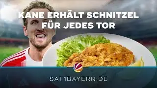 Tor-Prämie für Harry Kane? Schnitzel-Belohnung von Wirt aus Baierbrunn