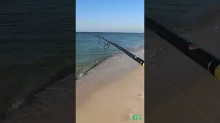 I thought I hooked a dead body. #shorts #perdidoblane #fishing #surffishing