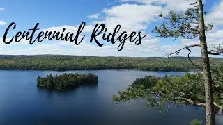 Centennial Ridges Trail in Fall | Algonquin Park, ON