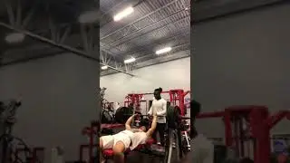 Natty 325 Bench