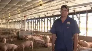 2011 Environmental Stewards Award Winner - Cleveland Pork