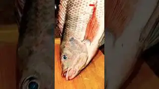 Amaging Fish Rost Recipe #food#viralvideo#recipe#foodie#asmr#streetfood#cooking#Cooking food Milan