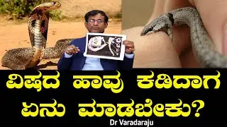 ವಿಷದ ಹಾವು ಕಡಿದಾಗ ಏನು ಮಾಡಬೇಕು? Snake Bite | Crobra Sanke | Dr Varadaraju Ep 05 | Chitraloka