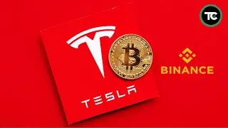 Tesla Bulls, Bitcoin Bears + don't miss these trade setups!