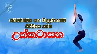 Chair Pose (Utkatasana | උත්කටාසන) | Step-by-Step Beginner Yoga Pose | Yoga Sri Lanka