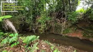 PROPERTY #12 | 5,900 sqm Farm | Vacation House | ₱6.5M | Tayabas City