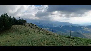 Boletus Edulis y Pinicola Agosto 2022
