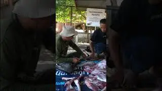 Ayo Aqiqah di MSBS