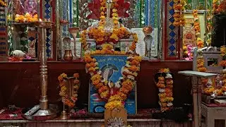 🙏🙏पंचमी आरती दर्शन 🙏🙏 श्री हरिराम बाबा मंदिर झोरड़ा धाम 🚩🚩