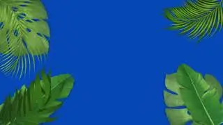 Tropical Vibes: 4K Green Screen Leaf Animation