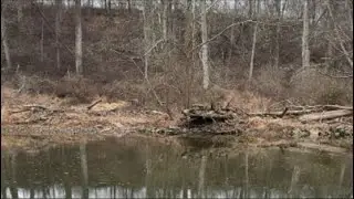 trout fishing in New Jersey! #Trout #Fishing #Outdoors #Hunting #BassFishing #TrashFishing#NJ