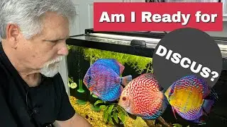 Aquarium Prep for *DISCUS* [It's Finally Happening!]